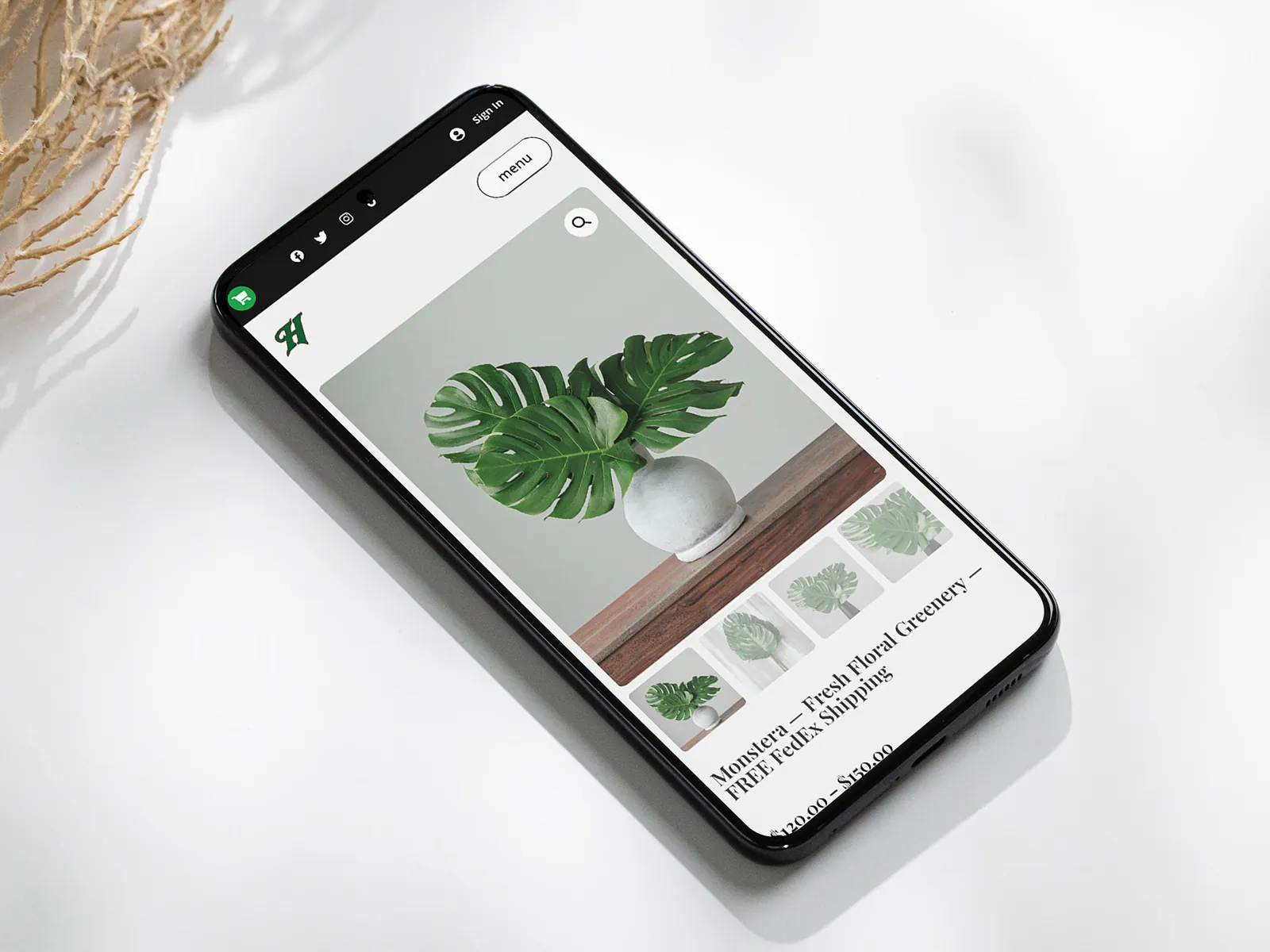 Albin Hagström & Son's shop on a phone: Monstera, fresh floral greenery with free FedEx shipping
